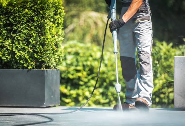 Best Sidewalk and Walkway Cleaning  in Forest City, FL